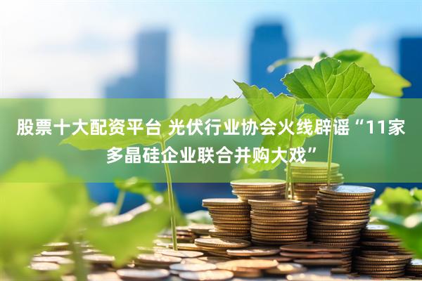 股票十大配资平台 光伏行业协会火线辟谣“11家多晶硅企业联合并购大戏”